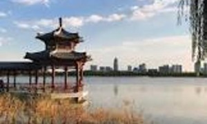 天津公园：城市绿肺，休闲好去处