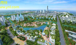 天津商界翘楚：创新引领未来，探索绿色发展的新路径